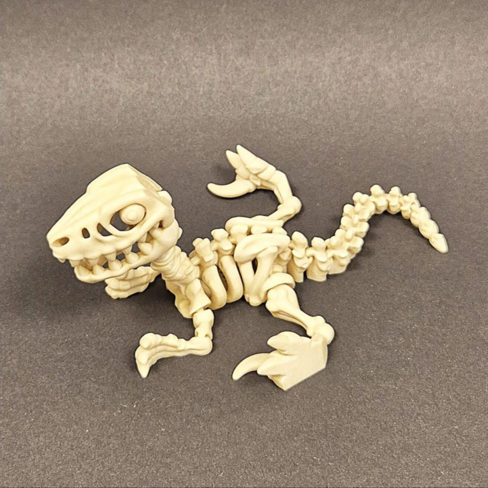 Fidget Velociraptor skelet
