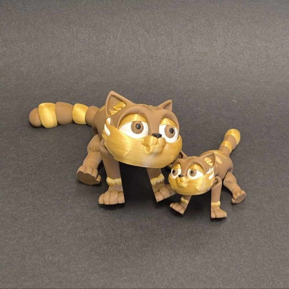 Fidget Poes