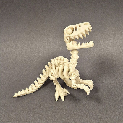 Fidget Velociraptor skelet